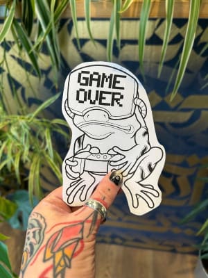 Image of Gamer frog 