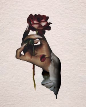 Image of Hand/rose
