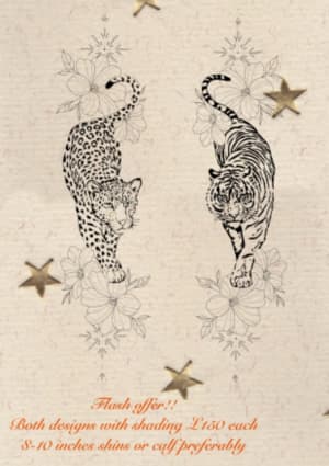 Image of Leopard + tiger