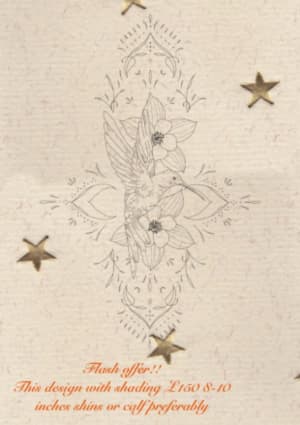 Image of Hummingbird 