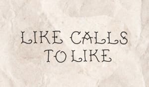 Image of Like Calls To Like 🧝🏼‍♀️