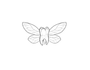 Image of Tooth fairy 