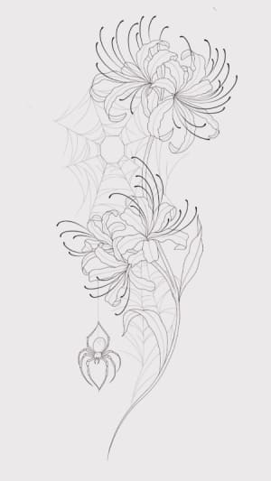 Image of Spider Lilly with webs 🕸️ 