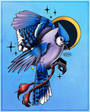 Image of blue jay