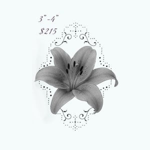 Image of ornamental lily 3”-4”
