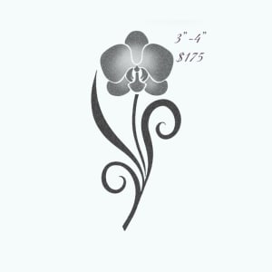 Image of stipple orchid 3”-4”