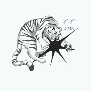 Image of star tiger 4”-5”