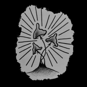 Image of Mushys 