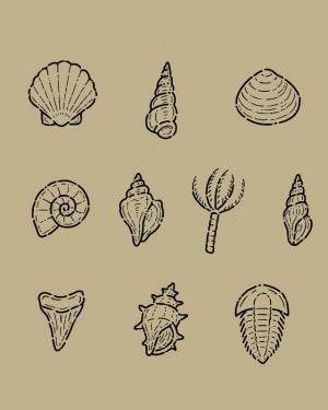 Image of Sheet 2 