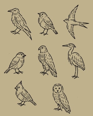 Image of Sheet 4