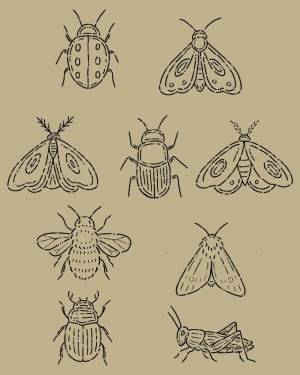 Image of Sheet 5