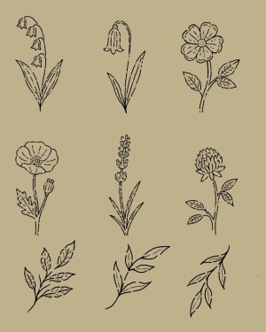 Image of Sheet 6