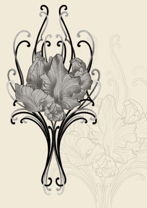 Image of Flornamental Tulip