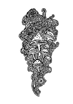 Image of Mushroom Bouquet min 8 inches