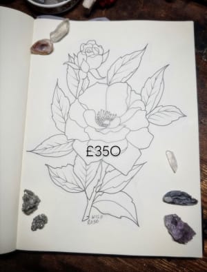 Image of Wild Rose