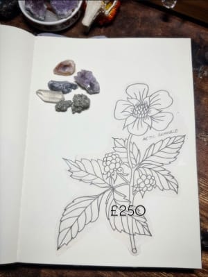 Image of Arctic Bramble