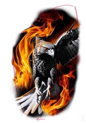 Image of Eagle (2 Days)