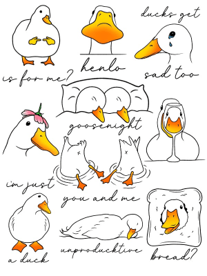 Image of Colour duckies 🦆 