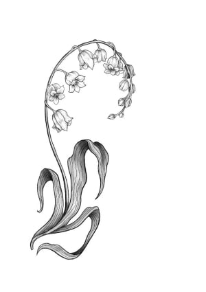 Image of Lily of the valley