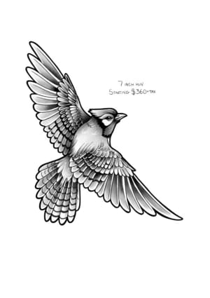 Image of Bluejay