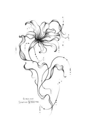 Image of Whimsy Lily
