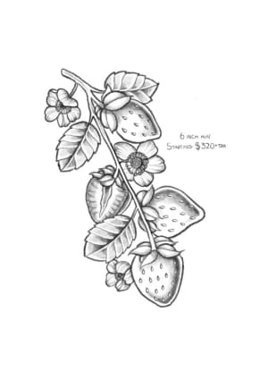 Image of Strawberries