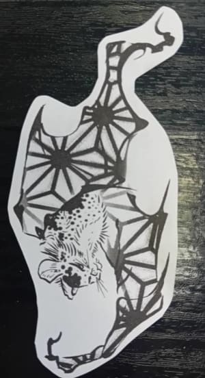 Image of Kimono Bat