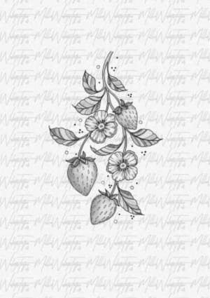Image of Strawberry plant🍓