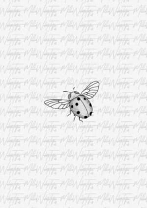 Image of Lil ladybug 🐞 