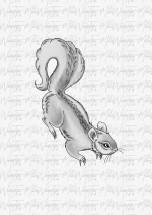 Image of Squirrel 🐿️ 