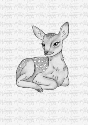Image of Baby deer 🦌 