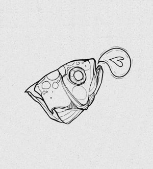 Image of Fish head 