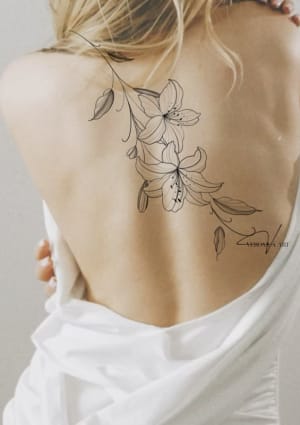 Image of Lily Flowers