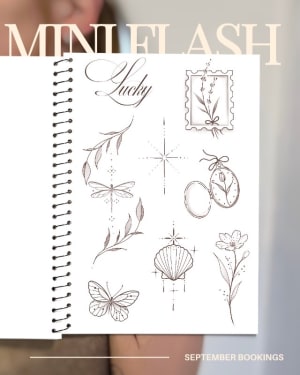Image of Flash sheet 2