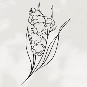 Image of Lily of the Valley 5-8cm