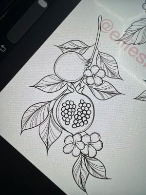 Image of Pomegranate