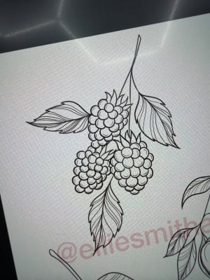 Image of Raspberries