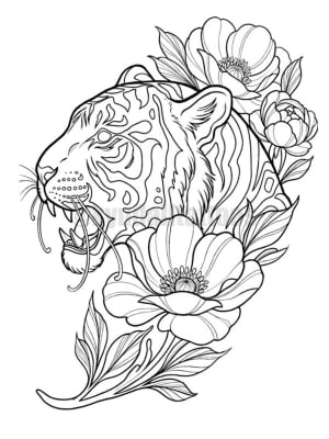 Image of Tiger