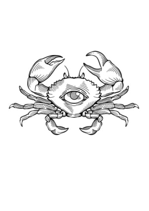 Image of Crab