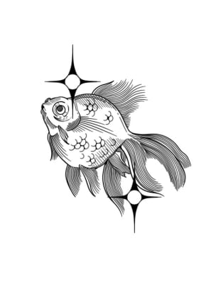 Image of Goldfish