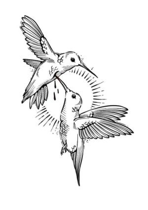 Image of Hummingbirds 
