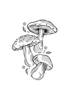 Image of Mushrooms