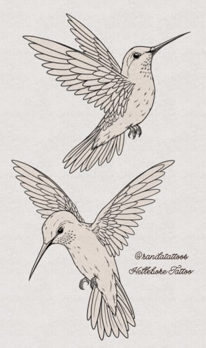 Image of Hummingbirds 