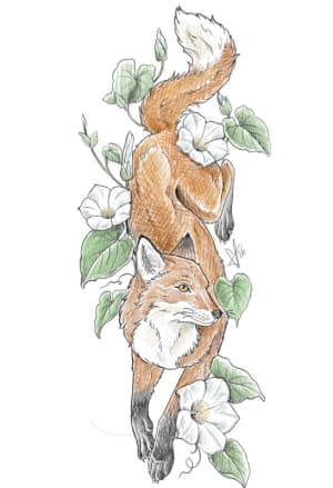 Image of Fox and bindweed