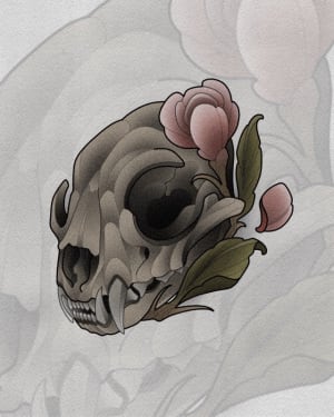 Image of Cat Skull