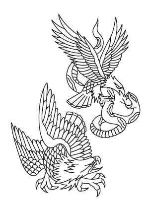 Image of Eagles
