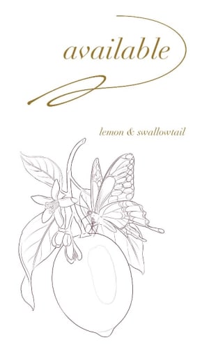 Image of lemon swallowtail 