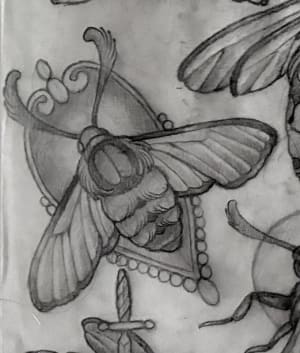 Image of Bee moth 1