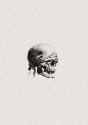 Image of Skull