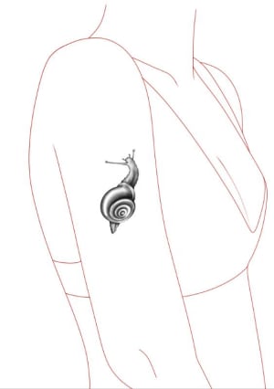 Image of Snail